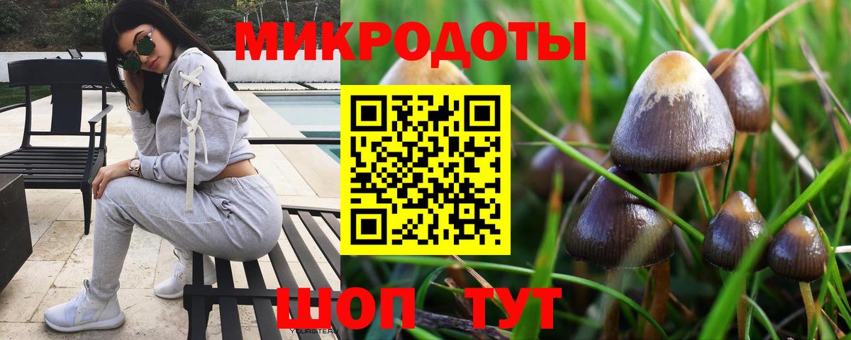 Галлюциногенные грибы мухоморы Изобильный