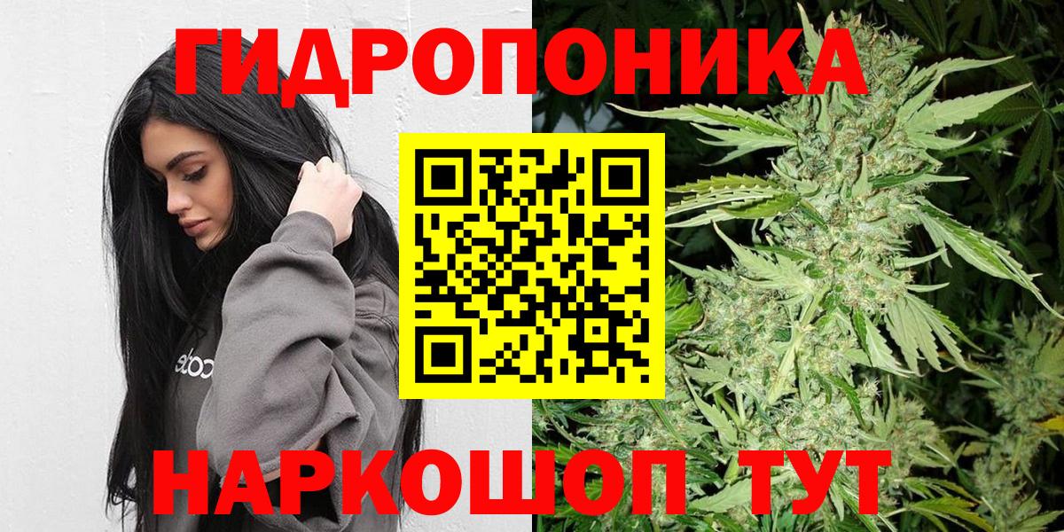 Бошки марихуана сатива Изобильный
